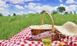 The image for Picnic Favorites - Kids Class