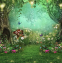 The image for Enchanted Forest - Kids' Class
