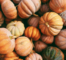 The image for Festive Fall Favorites ~ Kids Class