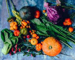 The image for Fall Tasting - A Special Five Course Experience