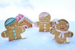 The image for KIDS HOLIDAY COOKING SERIES - Day 1