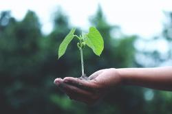 The image for Earth Day
